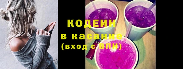 шишки Заводоуковск
