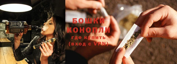 шишки Заводоуковск