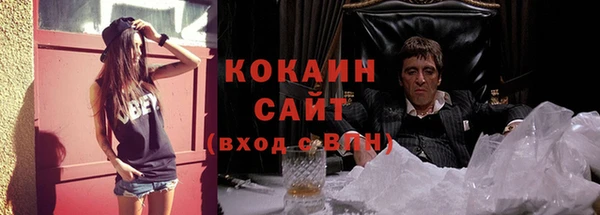 шишки Заводоуковск