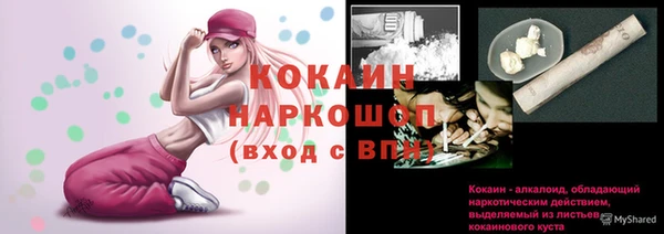 шишки Заводоуковск