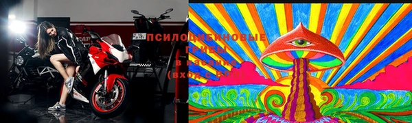 шишки Заводоуковск