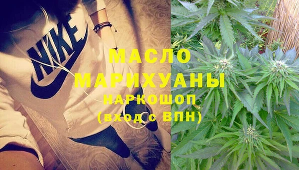 шишки Заводоуковск