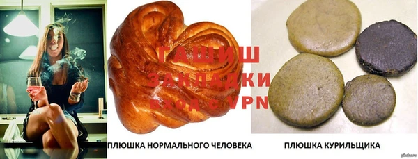 шишки Заводоуковск